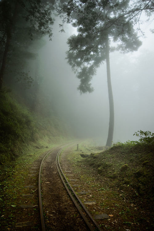 moody-nature:GPX_0577 | By 柏雯 黃