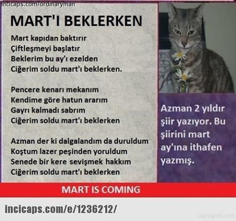 MART'I BEKLERKEN

Mart...