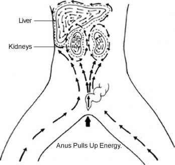 Sex chainsawyou:Found these extremely good diagrams pictures