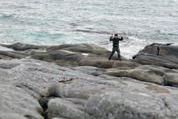 awkwardsituationist:  vetledalen farstad was taking photographs in alnes, norway, a small coastal village of 200, when his two friends, erik bjørnøy and torvald ask, noticed a baby lamb drowning in the ocean. the two friends managed to safely get the