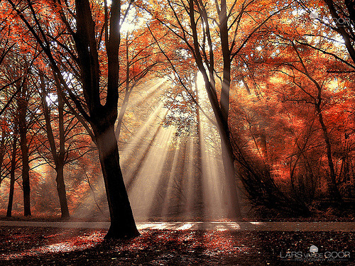 brutalgeneration:  By larsvandegoor.com 