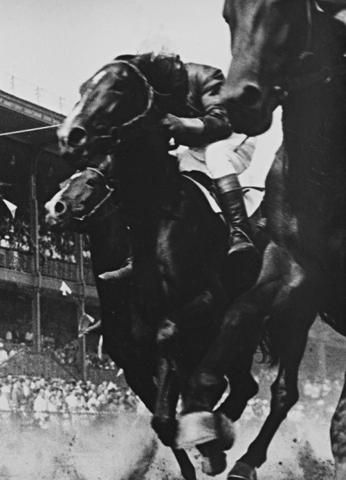 inritus: The Horse Races, 1935. Photographed by Alexander Rodchenko.