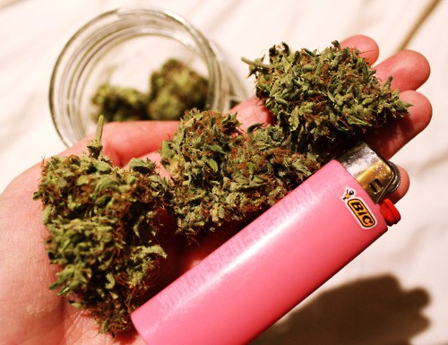 pot princess
