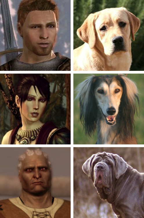 little-black-otter: Added some Inquisition doggos now that I’ve finished the game.  Here 