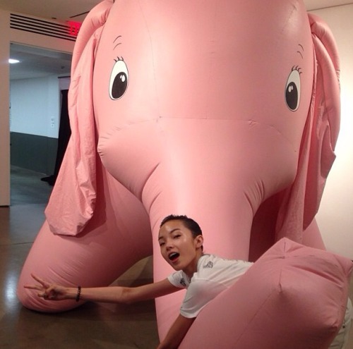 guavai:Pink elephant and Xiao Wen ju