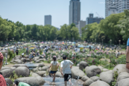 First short sleeve and parasol of the yearPosted; May 24, 2022