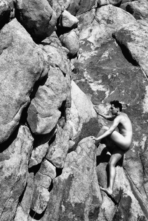 optichron:  Joshua Tree, California | 2016 | © Mitch Cullin Site | Saatchi  | Amazon | FB | Photobooks | Black Book Studies 