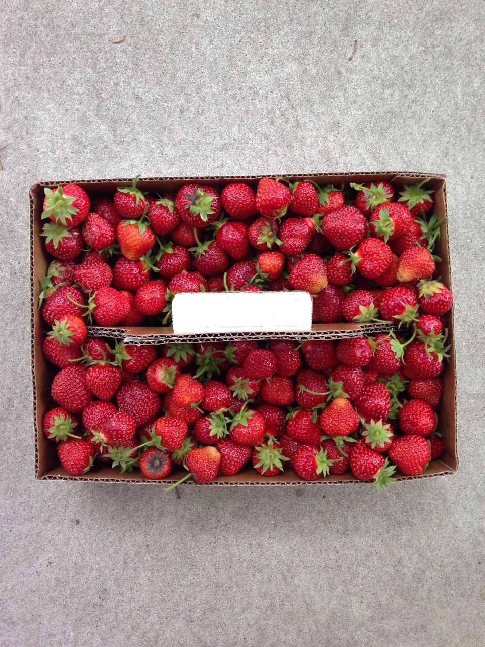 lemonescent:  u wanna know what’s cute? these freshly picked strawberries 🍓🍓