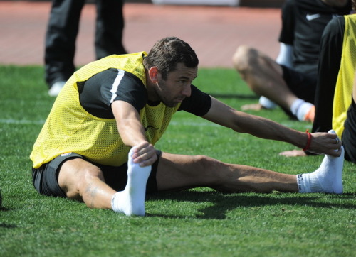 footballistic2:  Darijo Srna