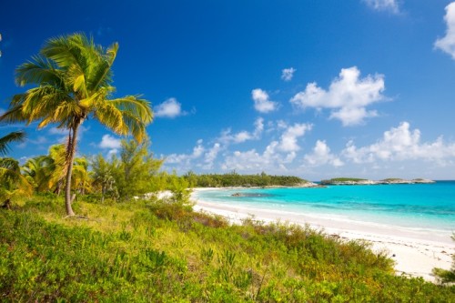 The Bahamas