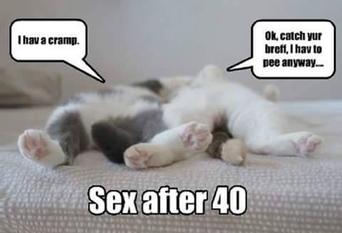 soft-kitti3:  😂😂😂😂So true!!!