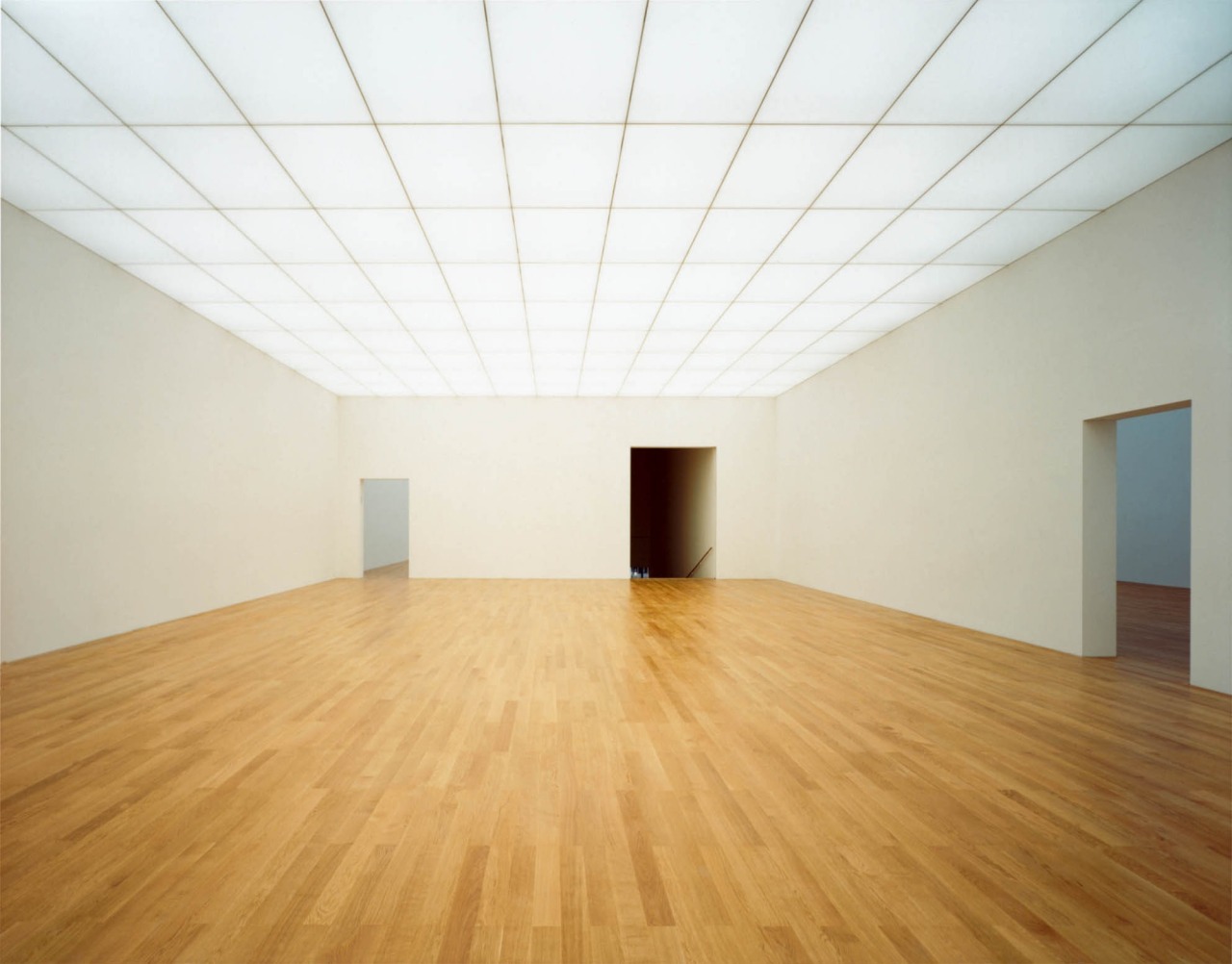 subtilitas:  Morger &amp; Degalo and Christian Kerez - Liechtenstein Museum,