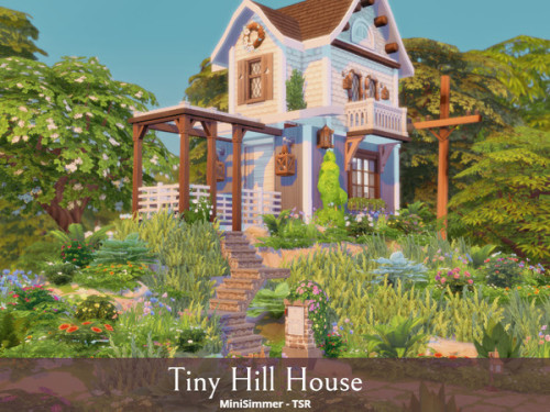 Tiny Hill HouseLot Details:- Lot type: Residential   - Lot size:  30x20 - Originally built in Wind