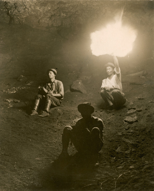 Three scientists sit inside a fire lit bat cave in Panama, August 1915.Photograph by George Shiras, 