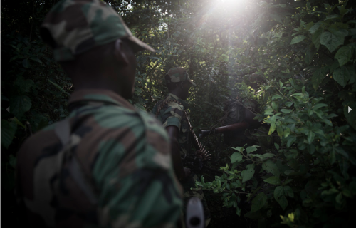 Colin Delfosse: North Kivu : the Chaos CycleOn the 20th of November 2012, the armed group called M23