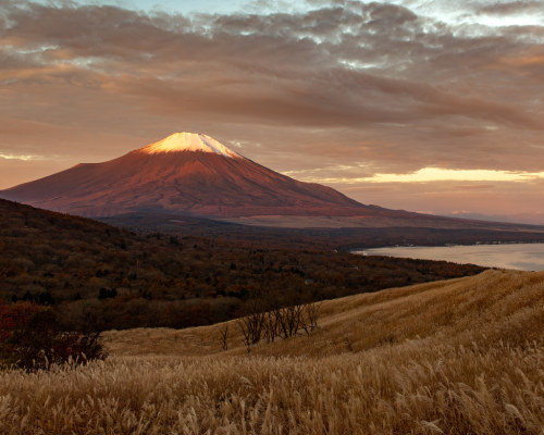 coffeenuts:November morning Fuji by shinichiro* flic.kr/p/2k8TTnb