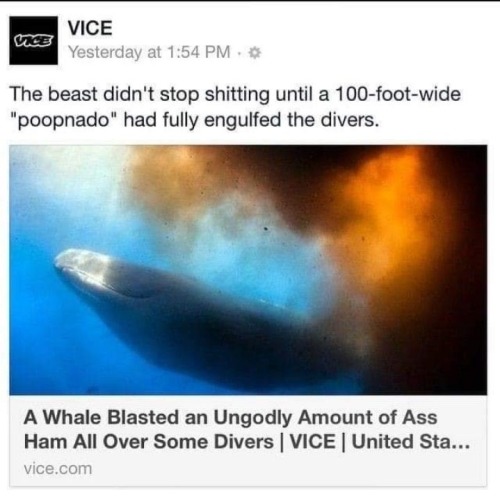 that-green-nut:That whale’s name was The