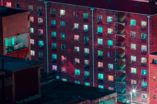 acidholic:foxmouth:Neon Nights, 2016 | by Elsa Bleda come trip out with me