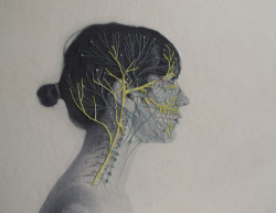 itscolossal:Self Portraits Embroidered With Images of Blood Vessels, Bones, and Muscle Tissue by Juana Gómez