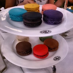 #macaroons #tea  break (at TWG Tea Salon &amp; Boutique)