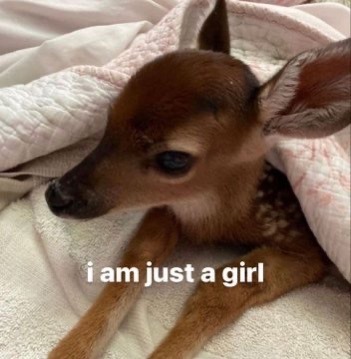 Requests Are Closed So I Can Focus On The Many I Have Already Been Sent !! Also Tumblr Girls Will Be