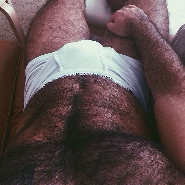 jeffys7:FORREST of FUR!