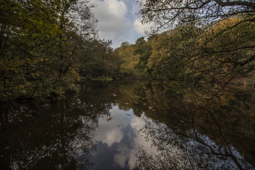 garettphotography:Autumn in Derbyshire | GarettPhotography