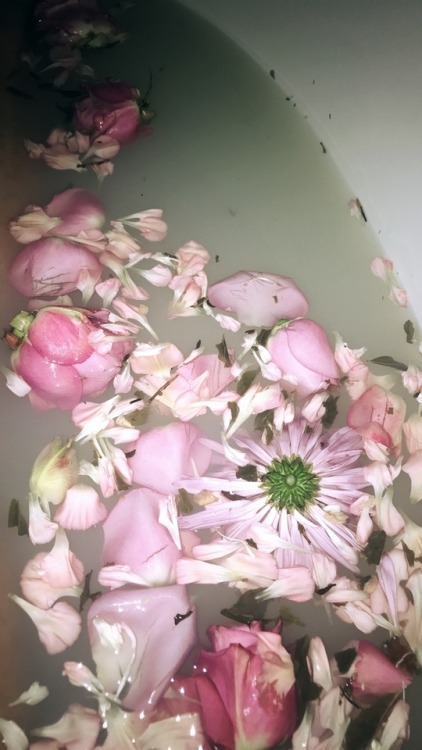 Florals • Milk Bath • Thighs