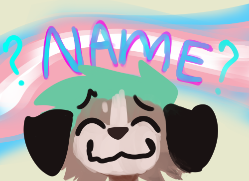 HELO PEEPS I NEED HELP…I AM A TRANSMASC NB (he/they), WHO WANTS TO BE ASSIGNED A NAME OR TWO 