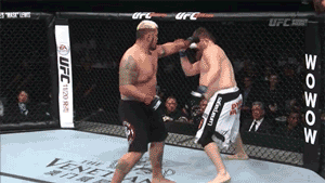 Human Cockfighting