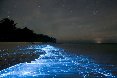 love:Sea of Stars, Vaadhoo Island, Maldives by   Doug Perrine