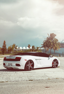 wearevanity:  Vice Lambo | Source | WAV 