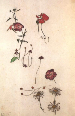 free-parking:  Egon Schiele, flower studies