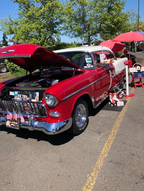 123rd annual Irrigation Festival parade this morning and then a car show after , Freya enjoyed all the people