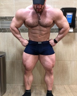 Antoine Vaillant 