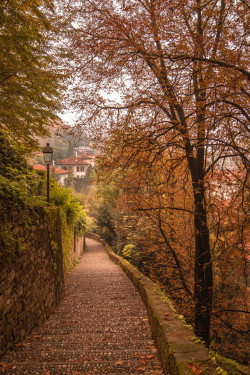 allthingseurope: Autumn in Bergamo, Italy (by luca eugeni)