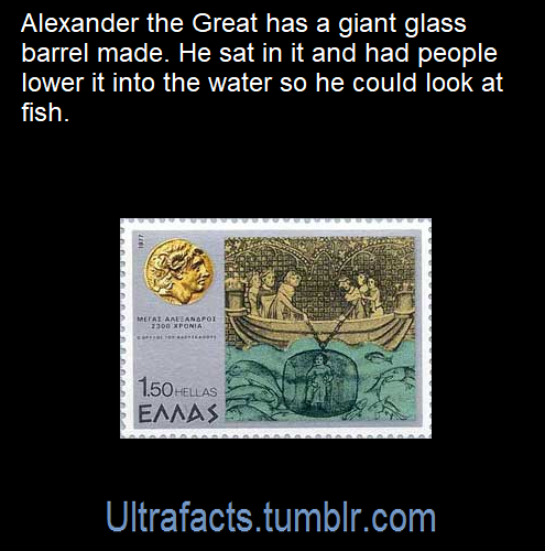 celtic-pyro:  ultrafacts:  Source: [x] Click HERE for more facts!  At first I read this as “Alexander the Great had a giant-ass barrel made” and I was like ‘How does he look at fish through a big-ass barrel?’ 
