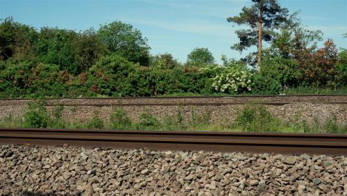 Waiting for a Train.