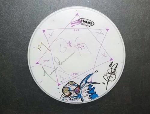 Porn photo TOOL signed drumhead