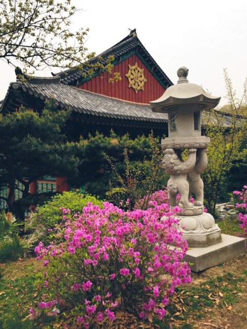 Bongwonsa Temple (봉원사), Seoul, South Korea© 