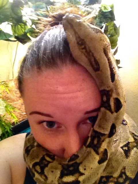 warofthering:  “Downsides” to having a snake