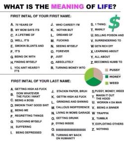 logicalolivia:  thelifeofabbey LOOK AT YOUR NAME  My mom says its pussy money and weed -_-