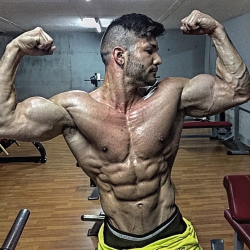 Adonis Files
