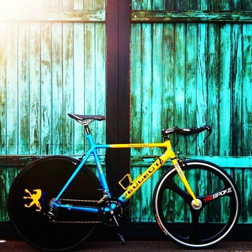 idgandy:  Peugeot 5000 #bici #bike #bicycle #velo #fixie #cycling #cycle #ride #racing #peugeot