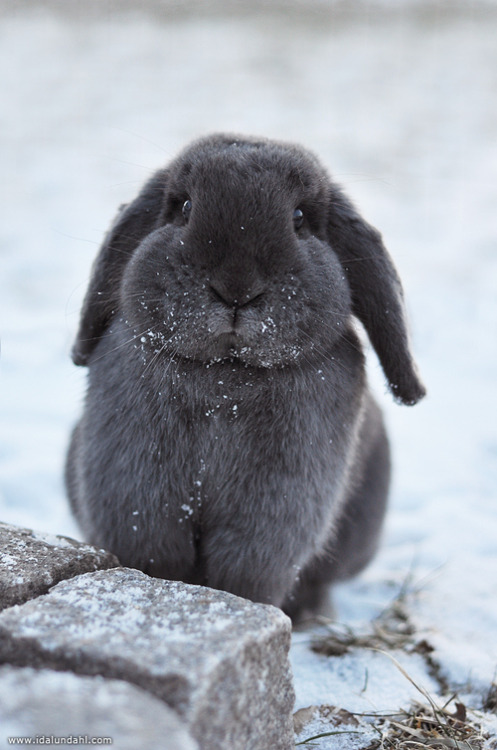 livewhtyalove:   Cutie Candy | via Tumblr itt: We Heart It. 