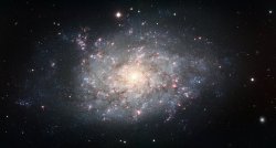 spinningblueball:    NGC 7793 - Spiral Galaxy 