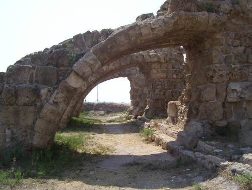 residentparkyologist: An Archaeological Wonder: SalamisSalamis, Northern CyprusI had the opportunity