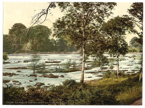 Rapids on the Shannon (County Limerick, Ireland, c. 1890 - c. 1900).