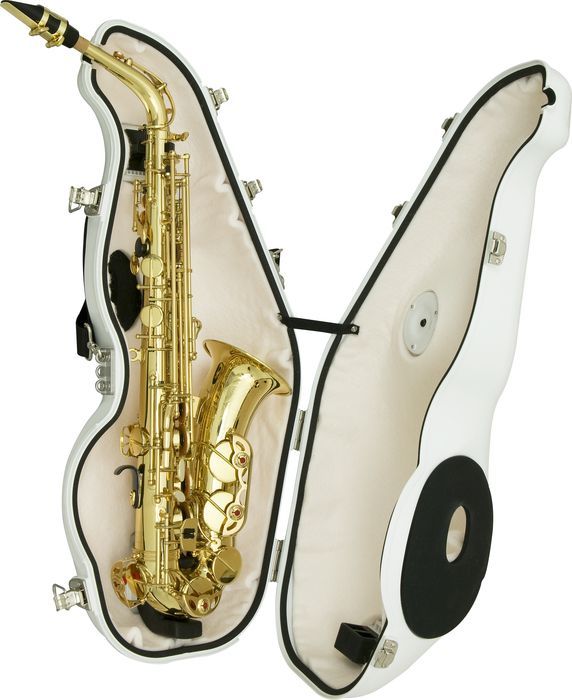 horn-for-life:  mozart-effect:SAXOPHONE MUTE:The best thing since no saxophones 