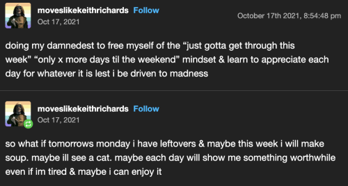 a tumblr post from @moveslikekeithrichards saying: "doing my damnedest to free myself of the “just gotta get through this week” “only x more days til the weekend” mindset & learn to appreciate each day for whatever it is lest i be driven to madness. so what if tomorrows monday i have leftovers & maybe this week i will make soup. maybe ill see a cat. maybe each day will show me something worthwhile even if im tired & maybe i can enjoy it"